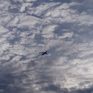 Meet your Posher, Salome